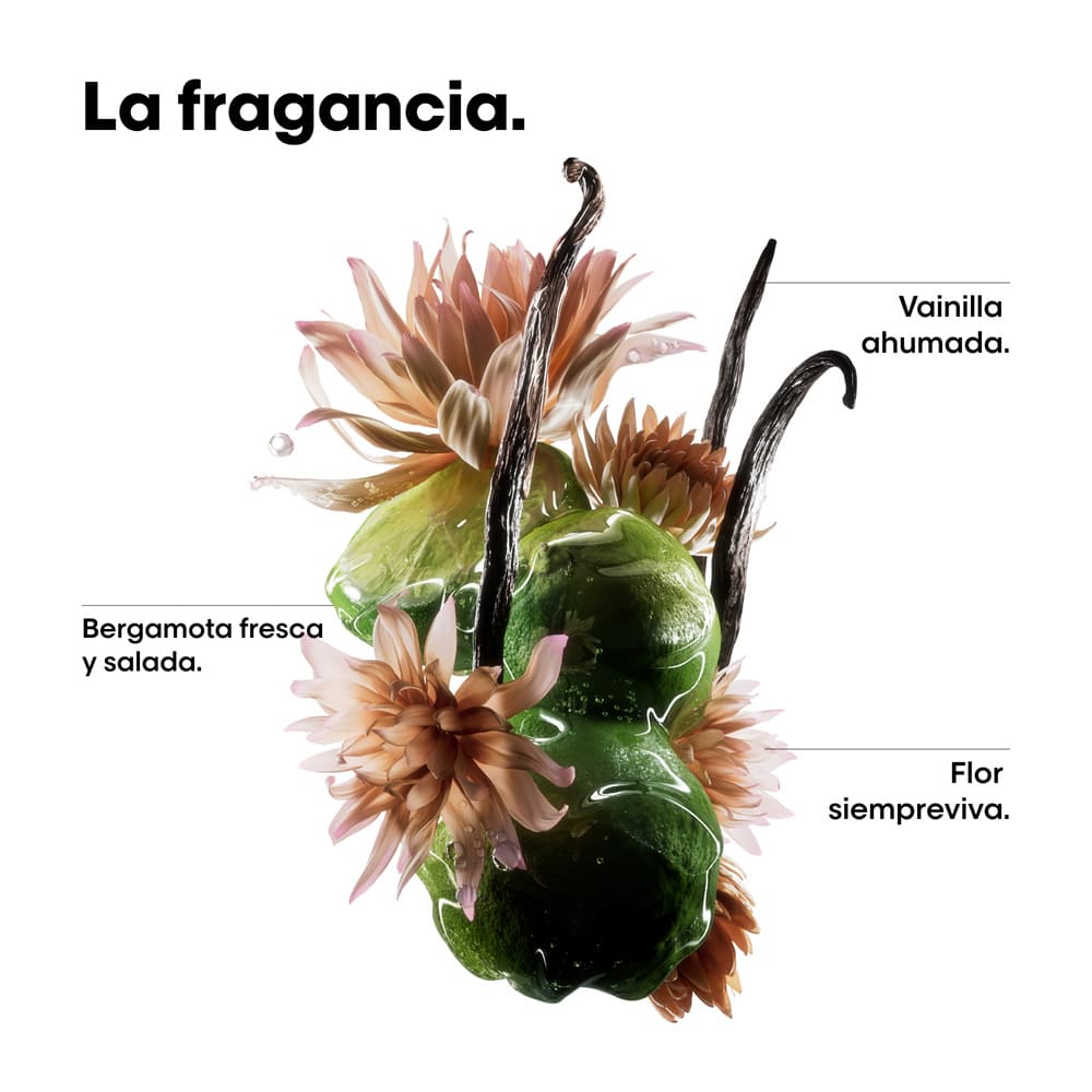 ACEITE BIF&Aacute;SICO ABSOLUT REPAIR MOLECULAR (ACEITE BIF&Aacute;SICO PARA CABELLO DA&Ntilde;ADO)